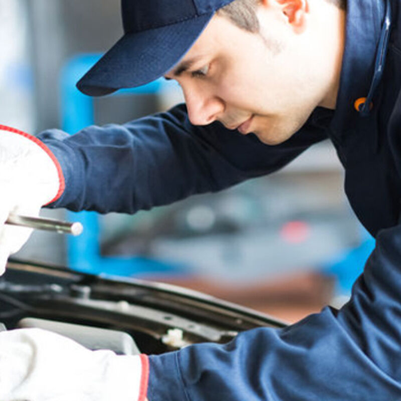 Motor Vehicles Thumbnail